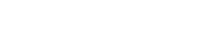 Augment Risk logo